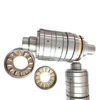 Plastic extruder bearings series bearings